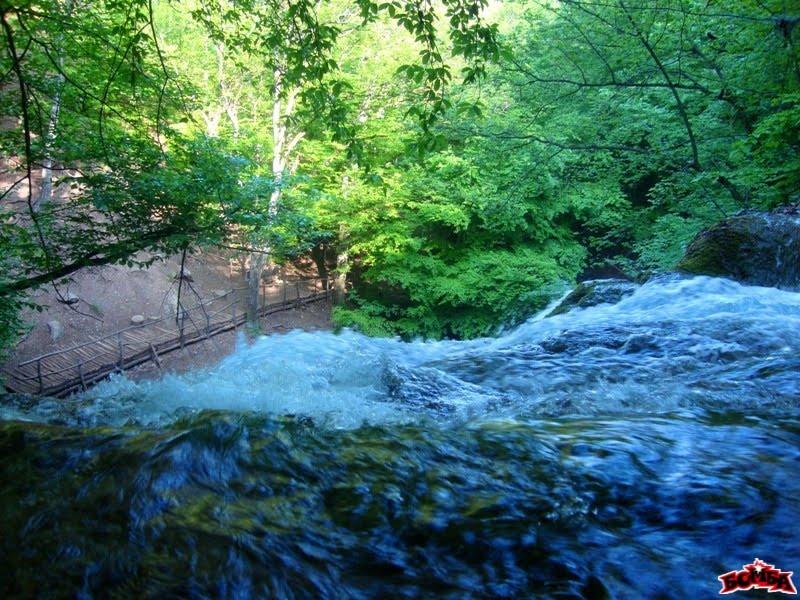 Генеральське з panoramio.com (ч.3) - Generalske