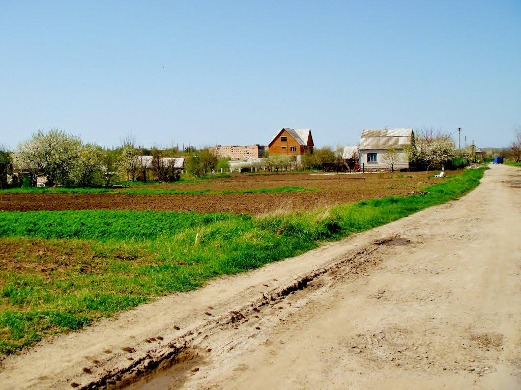 Гудзівка з panoramio.com - Gudzivka