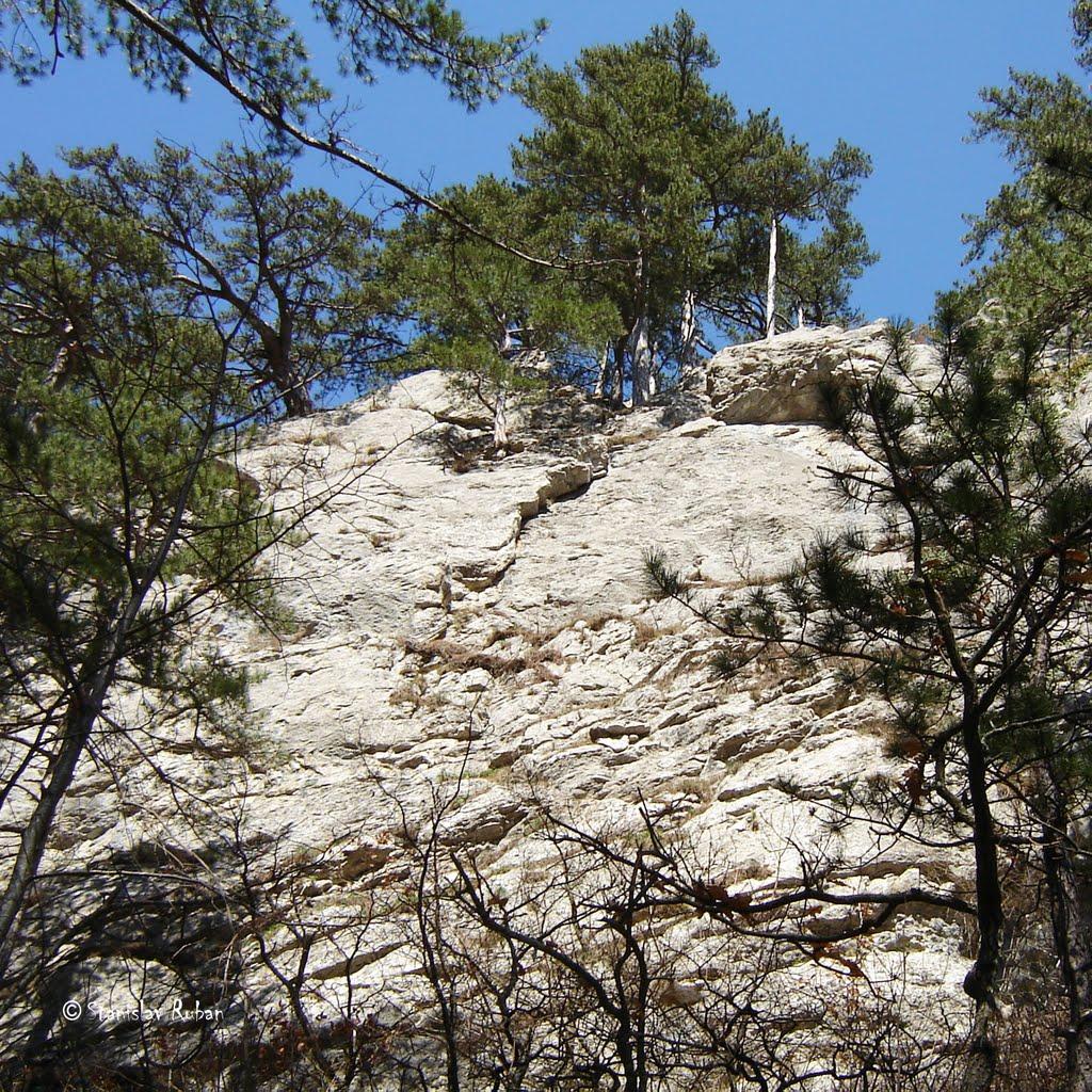 Совєтське з panoramio.com (ч.2) - Советское