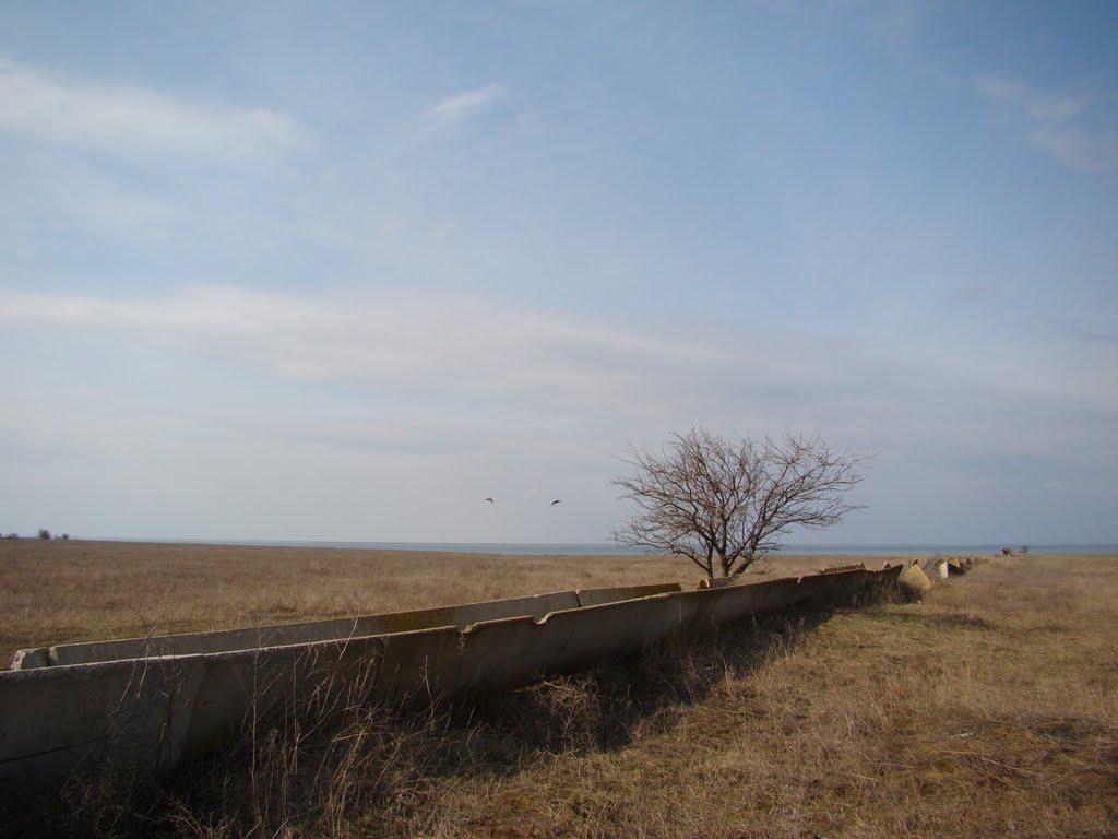 Волошине з panoramio.com - Волошино