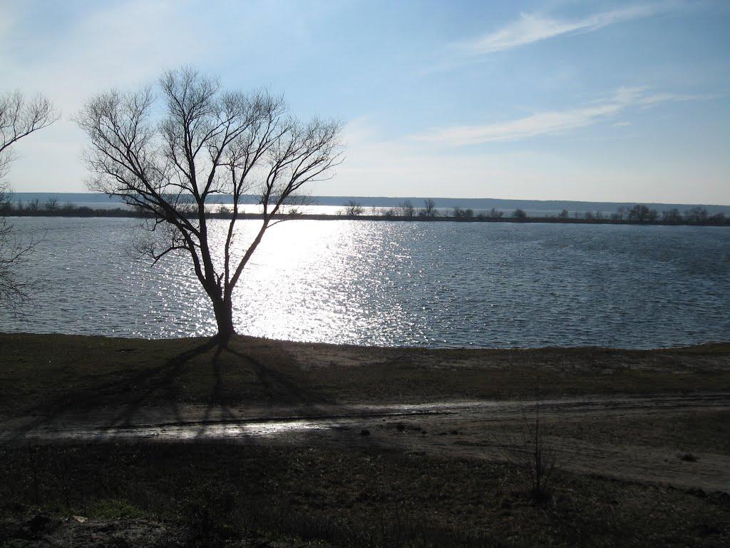 Лиман з panoramio.com - Лиман