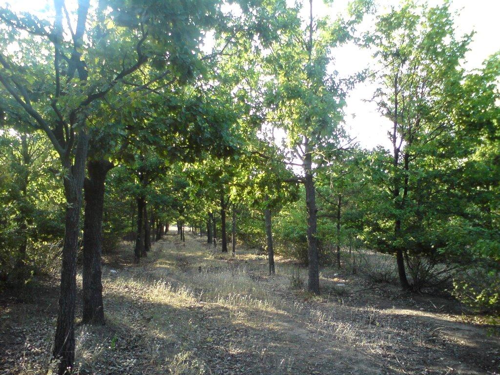 Ізмаїл з panoramio.com (ч.2) - Измаил