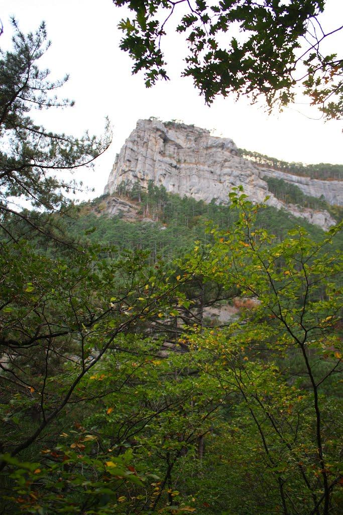 Виноградне з panoramio.com - Виноградное