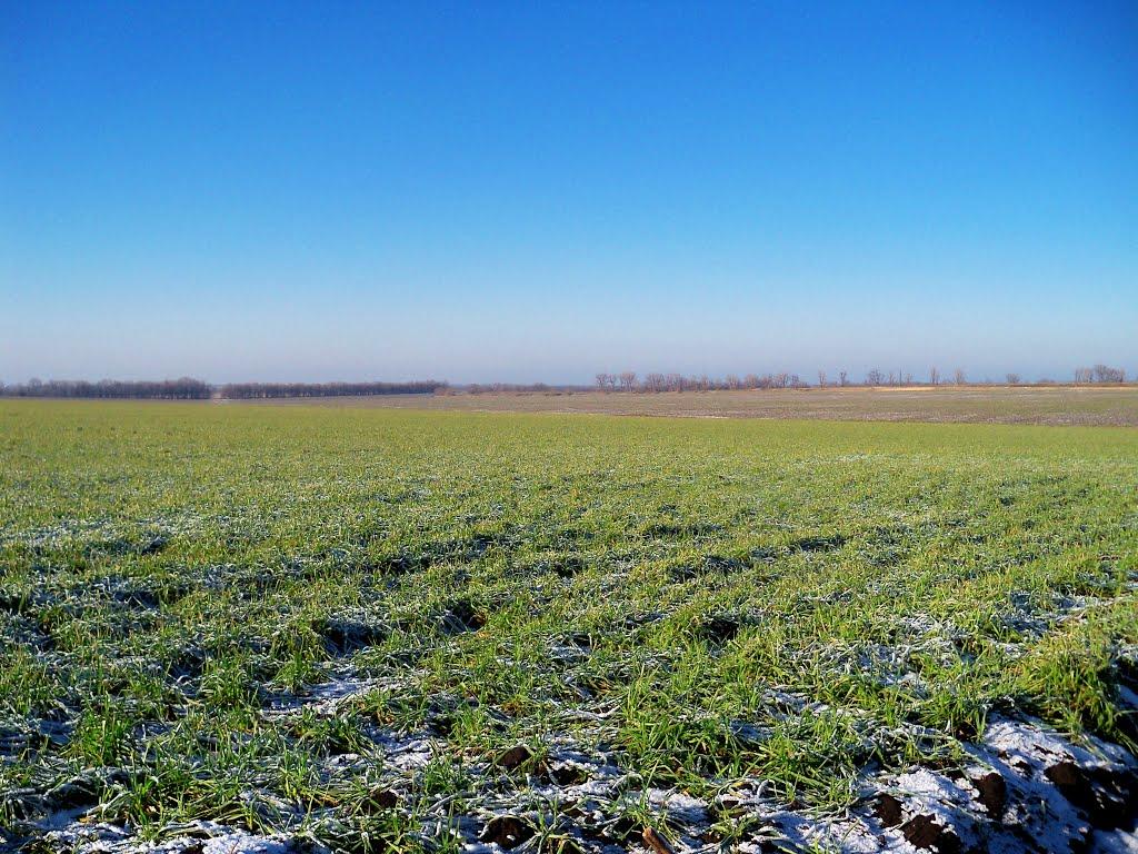Кам'яне з panoramio.com - Каменное