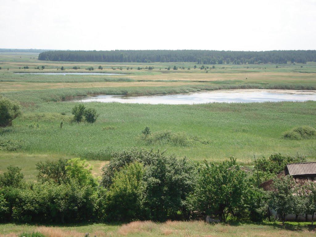 Ряське з panoramio.com - Ряське