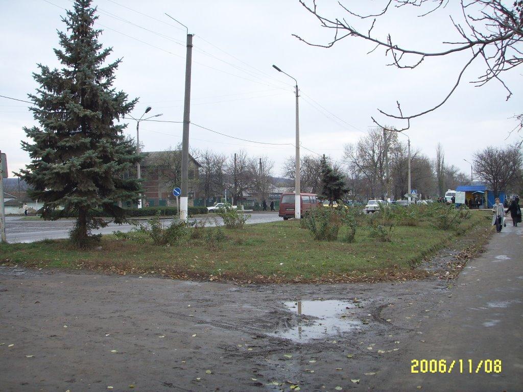 Веселинове з panoramio.com - Веселинове