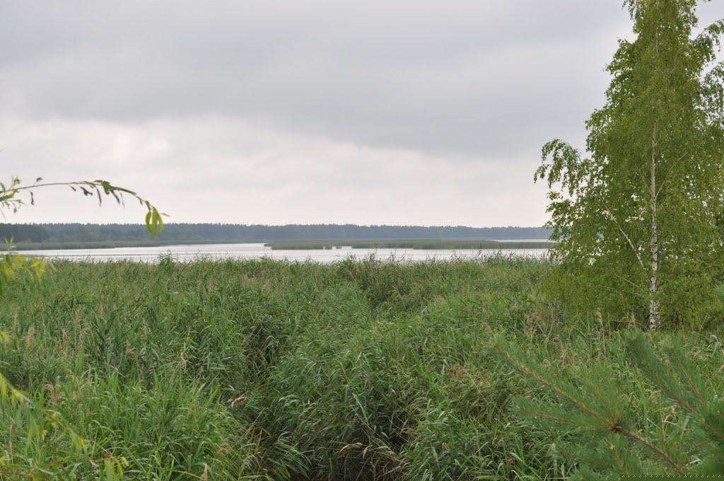 Сімеїз з panoramio.com (ч.2) - Симеиз