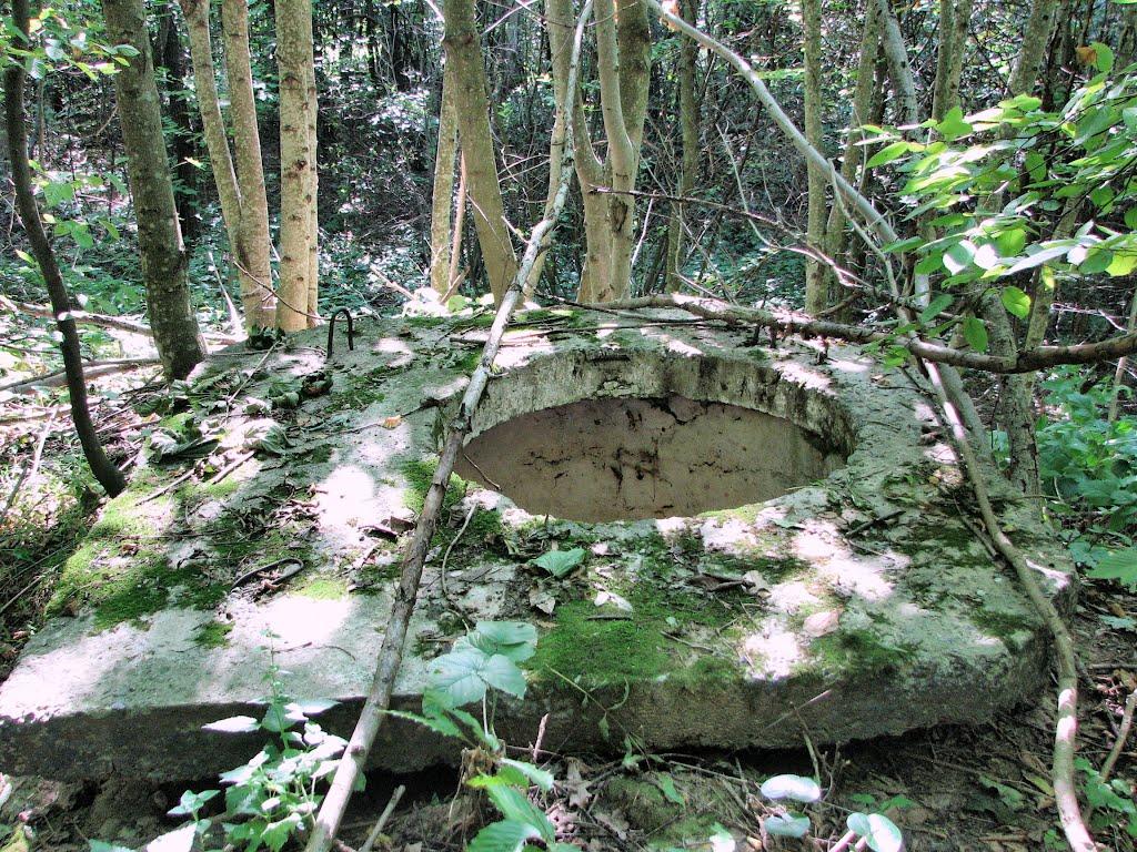 Бахматівці з panoramio.com - Бахматівці