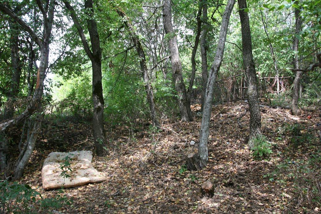 Научний з panoramio.com - Научний