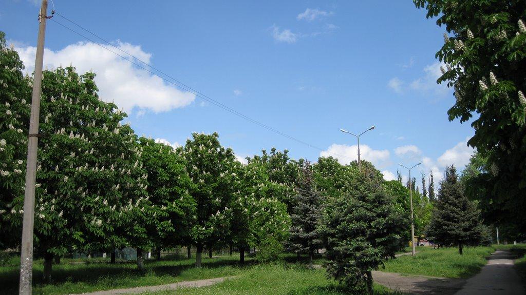 Павлоград з panoramio.com (ч.2) - Павлоград