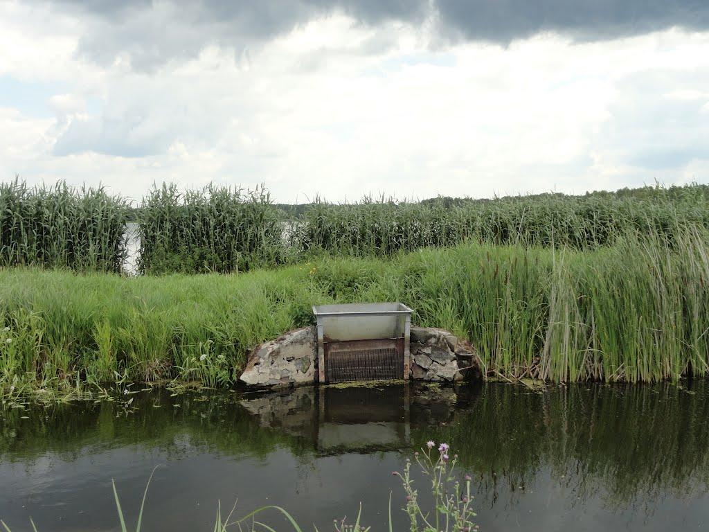 Берестяне з panoramio.com - Берестяне