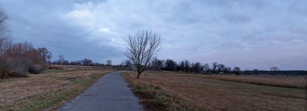 Дейманівка з panoramio.com - Дейманівка