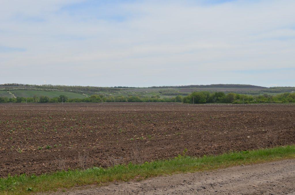 Петровеньки з panoramio.com - Петровеньки