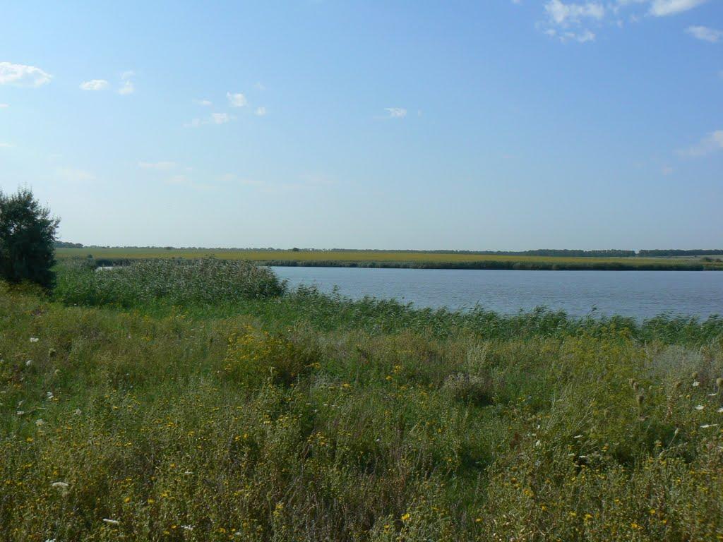 Карла Лібкнехта з panoramio.com - Карла Лібкнехта