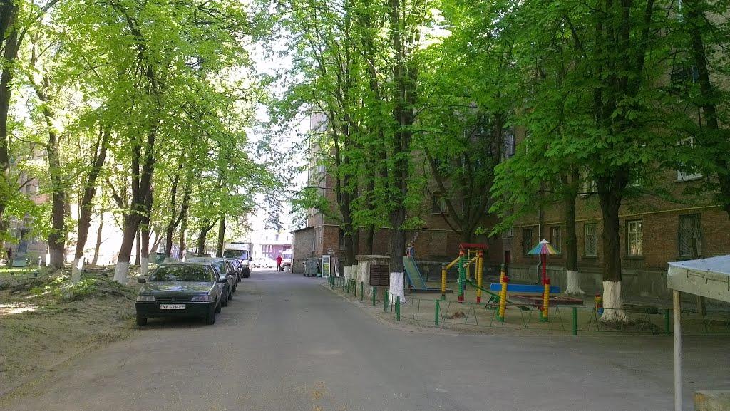 Софіївська Борщагівка з panoramio.com (ч.2) - Софиевская Борщаговка