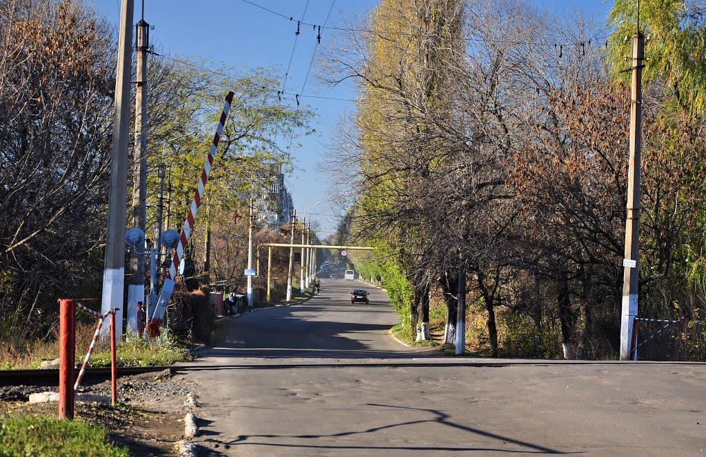 Колосникове з panoramio.com - Колосникове