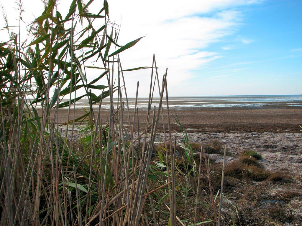 Волошине з panoramio.com - Волошино