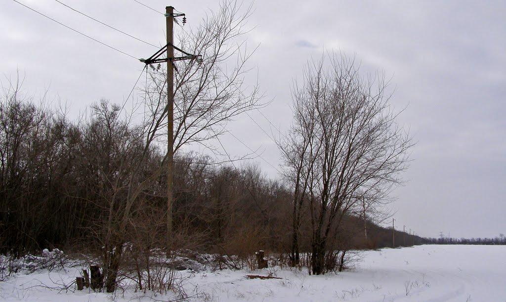 Дачне з panoramio.com - Дачное