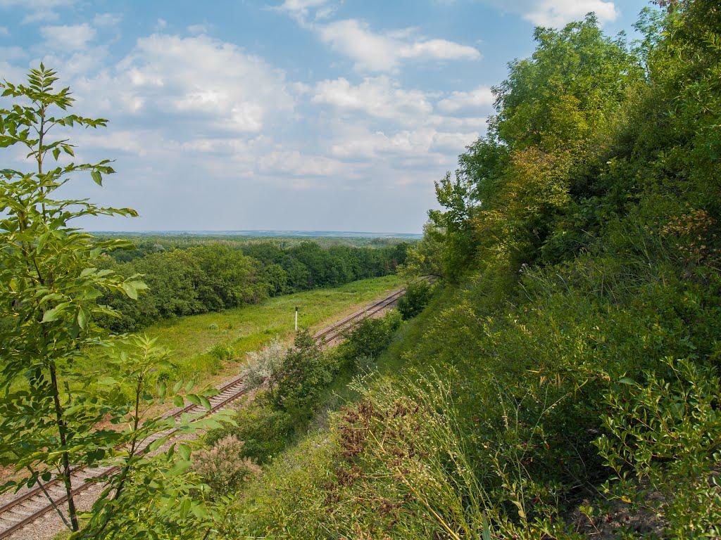 Станично-Луганське з panoramio.com (ч.2) - Станично-Луганское