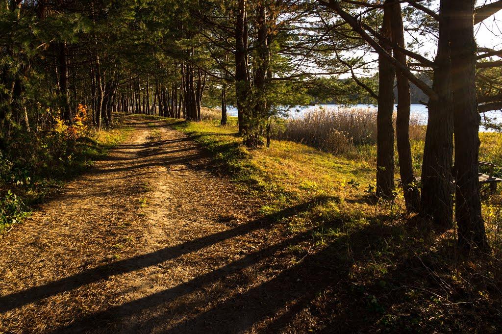 Верещиця з panoramio.com - Верещиця