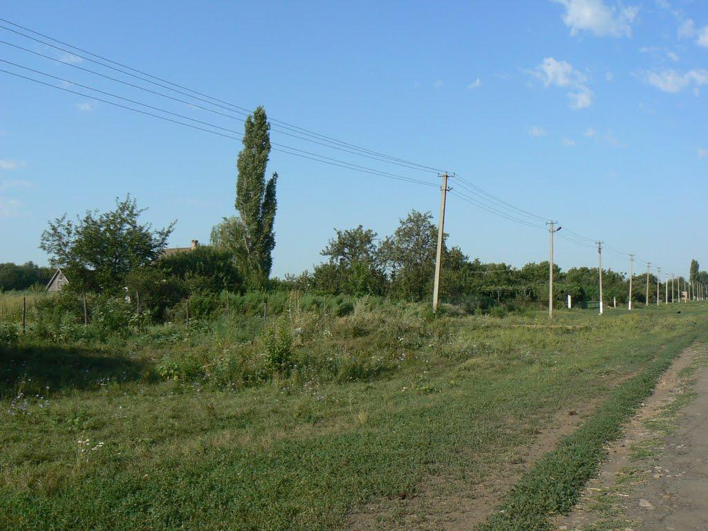 Карла Лібкнехта з panoramio.com - Карла Лібкнехта