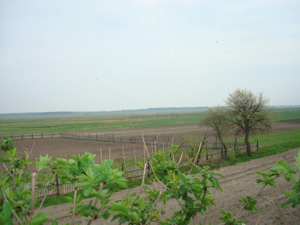 Дроздні з panoramio.com - Дроздни