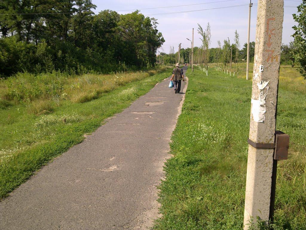 Лиман з panoramio.com - Лиман