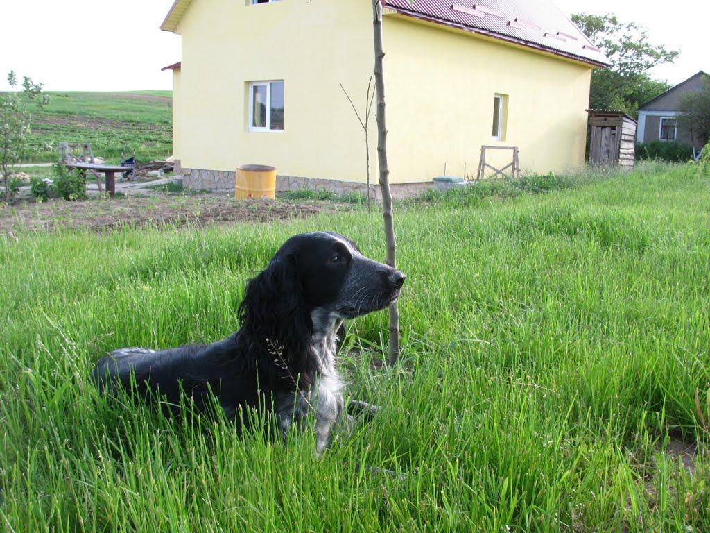 Великий Житин з panoramio.com - Великий Житин