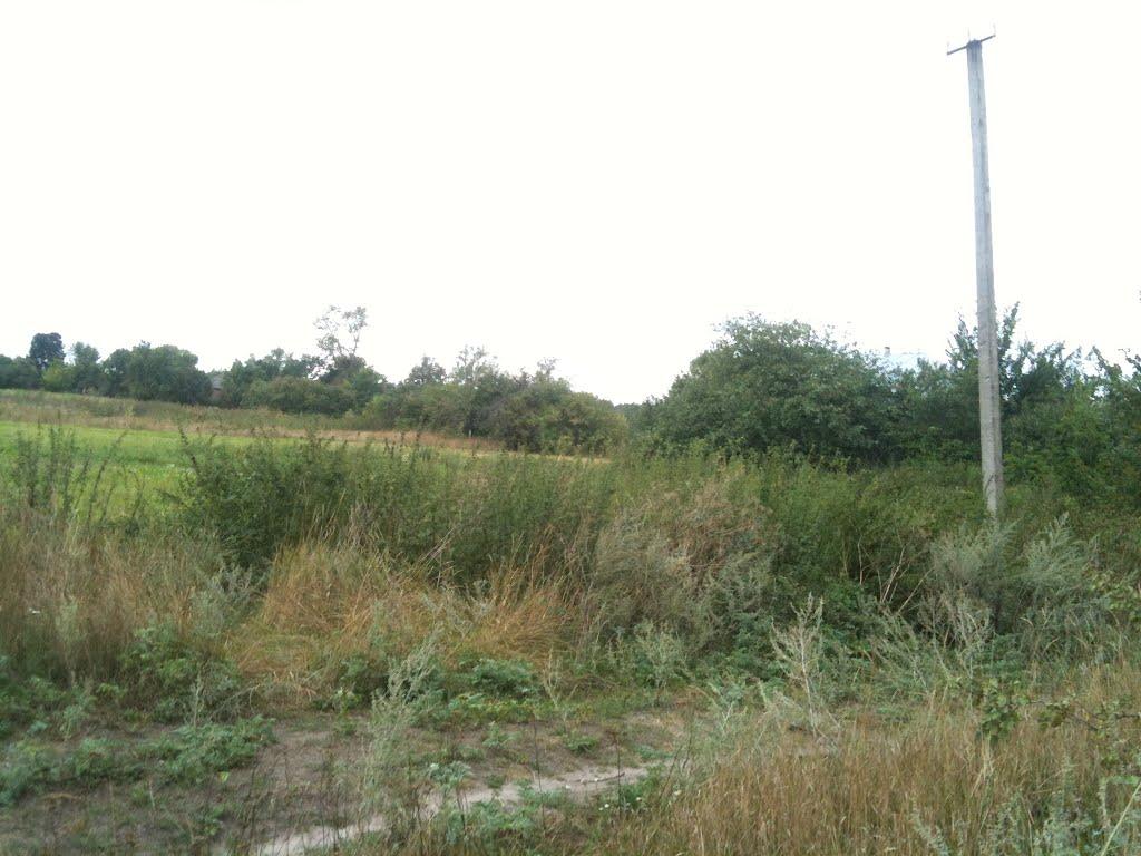 Любитове з panoramio.com - Любитово