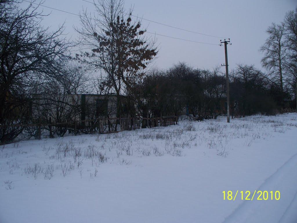 Пушкареве з panoramio.com - Пушкареве