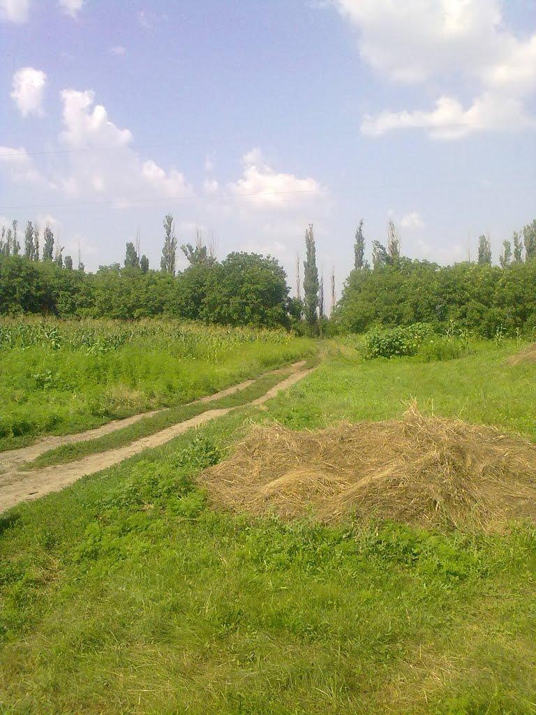 Приморське з panoramio.com - Приморское