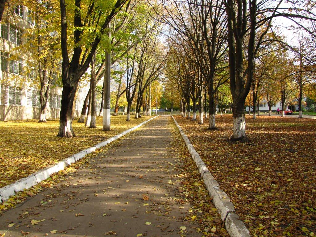 Корсунці з panoramio.com - Korsuntsi