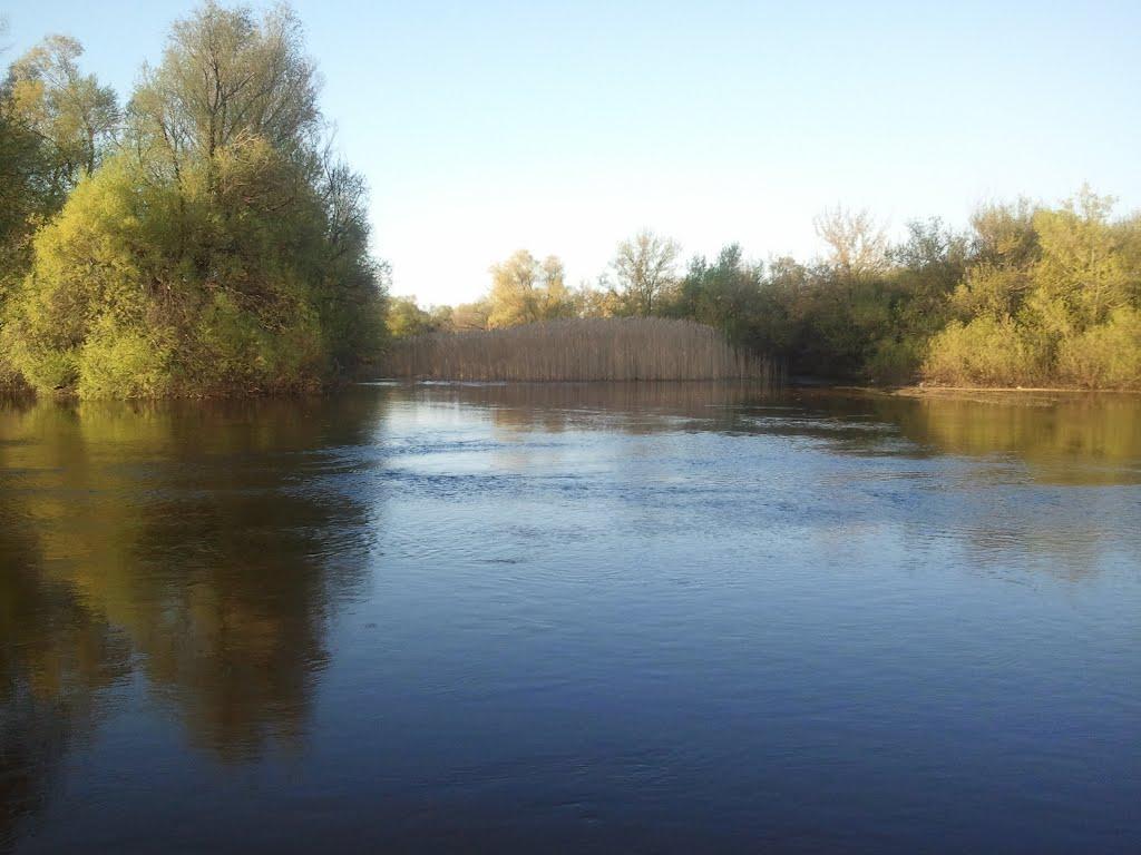Куп'янськ з panoramio.com (ч.2) - Куп'янськ