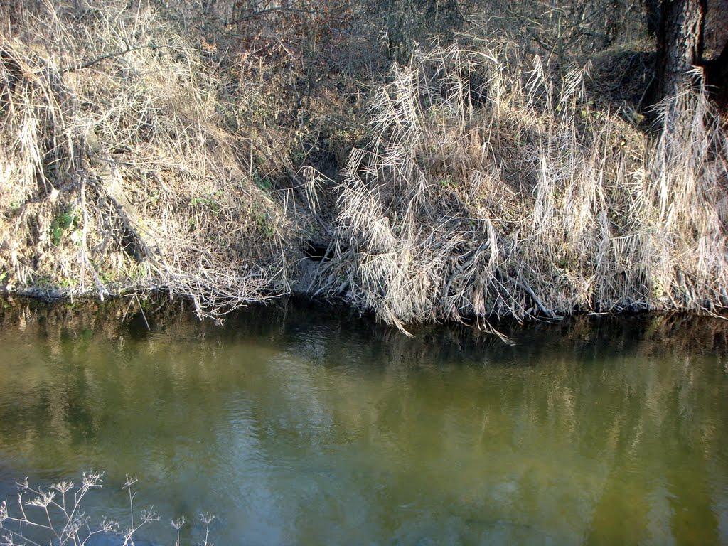 Сєверодонецьк з panoramio.com (ч.3) - Северодонецк