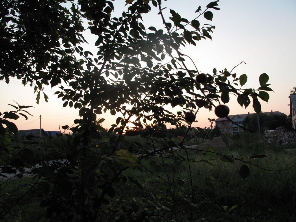 Смородськ з panoramio.com - Смородск