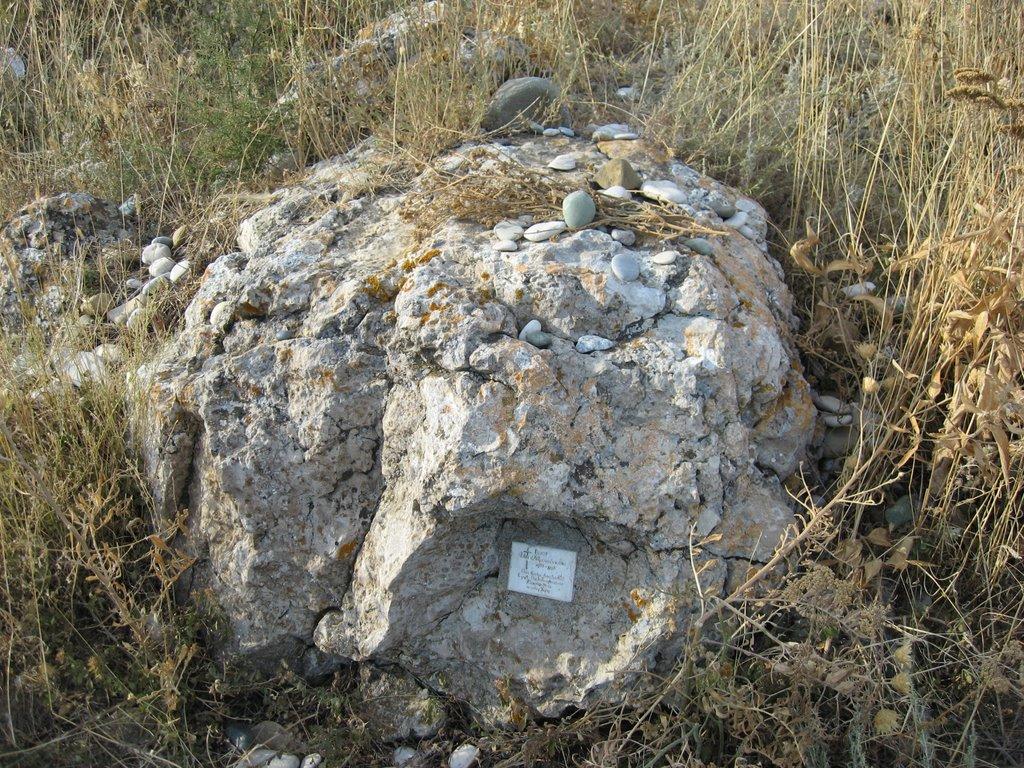 Підгірне з panoramio.com - Підгірне