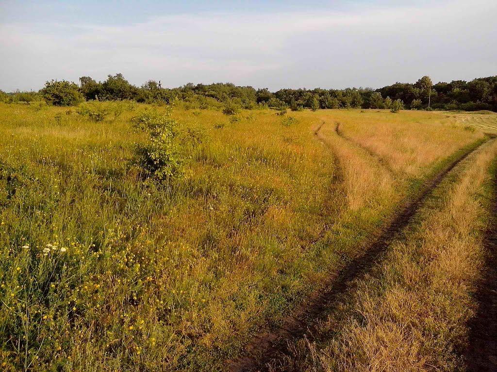 Юрки з panoramio.com - Юрки