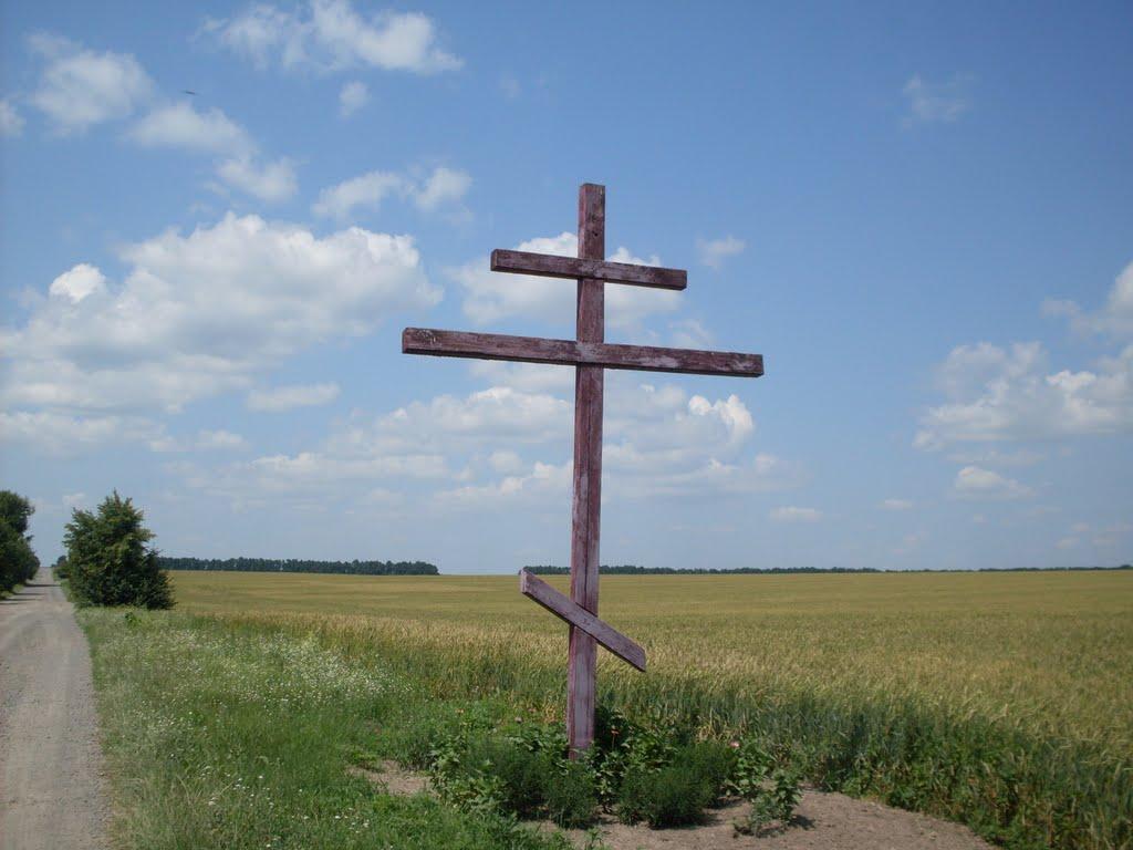 Чечелівка з panoramio.com - Чечелівка