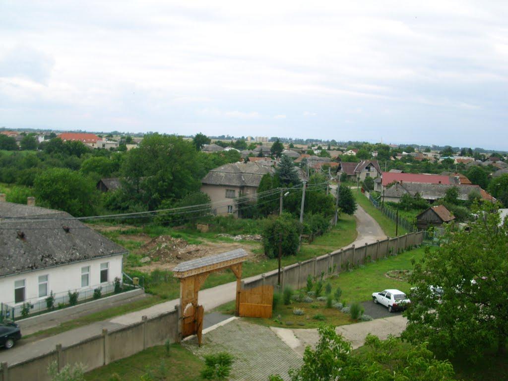 Соломоново з panoramio.com (ч.2) - Соломоново