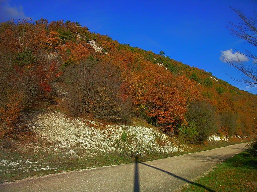 Куйбишеве з panoramio.com (ч.2) - Куйбышево