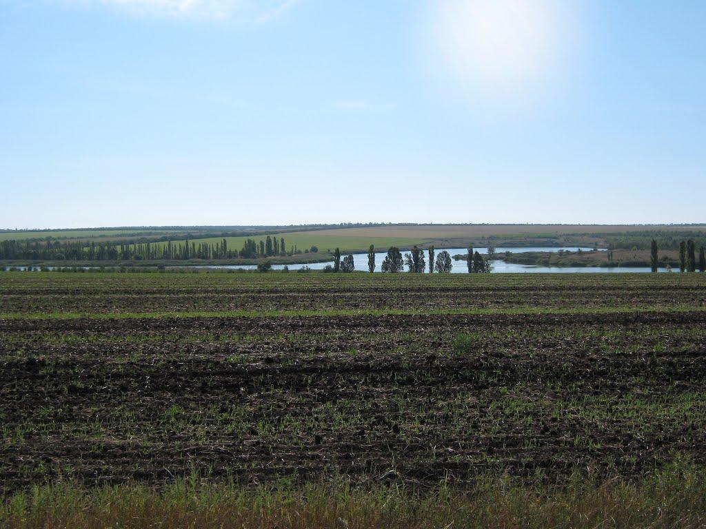 Березуватка з panoramio.com - Березуватка
