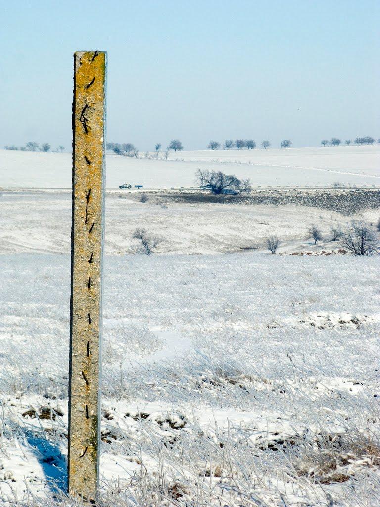 Шкільне з panoramio.com - Школьное