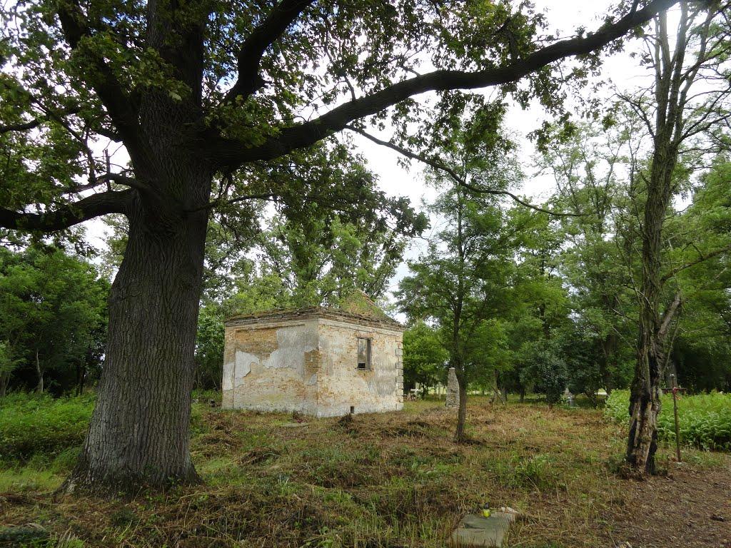 Мельниця з panoramio.com - Melnytsya