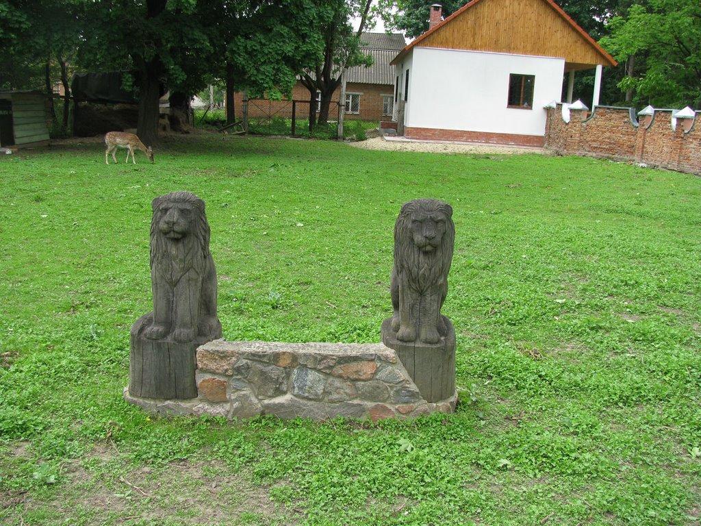 Краснокутськ з panoramio.com - Краснокутск