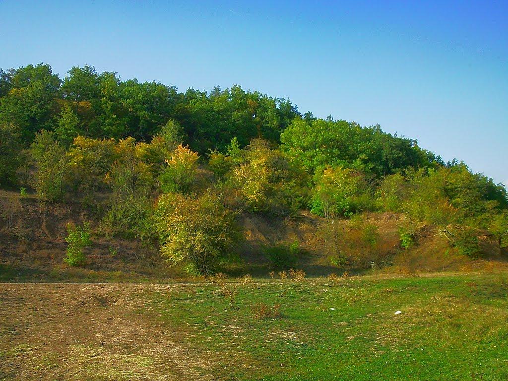 Богатир з panoramio.com - Богатир