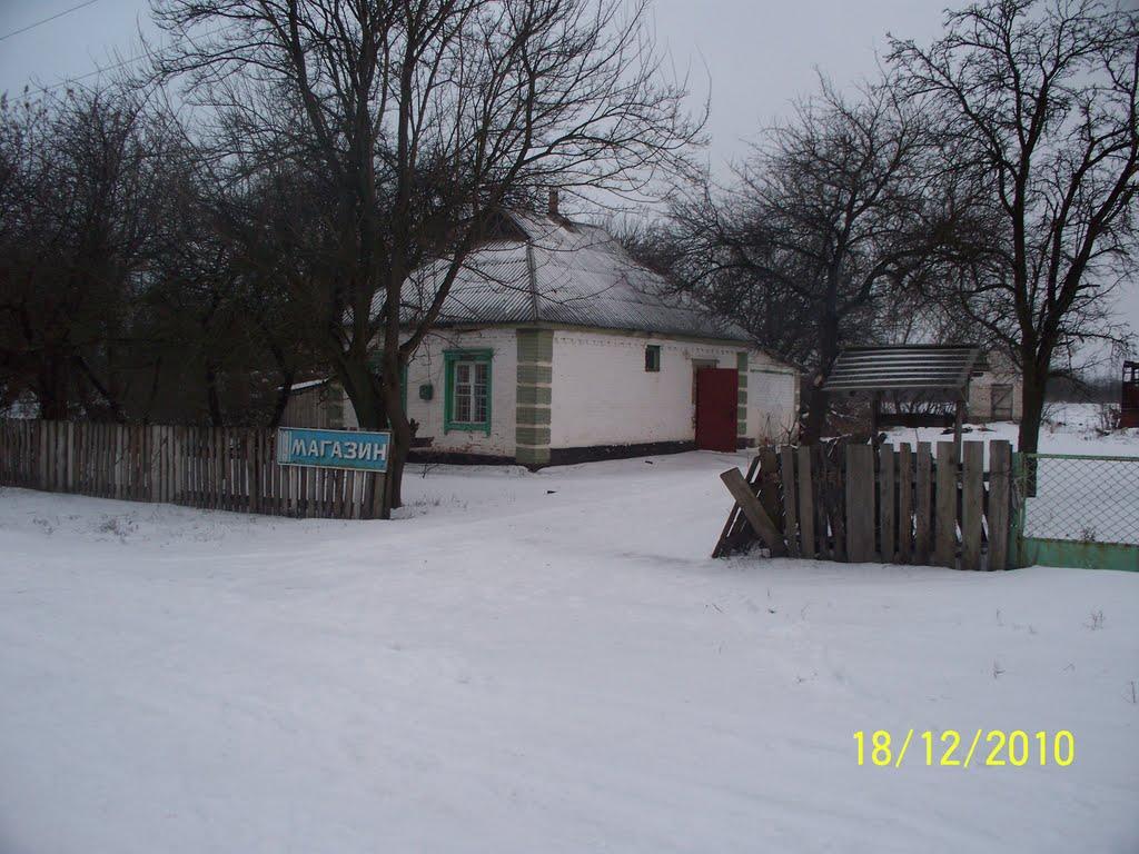 Пушкареве з panoramio.com - Пушкареве