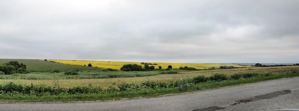 Зверхівці з panoramio.com - Зверхівці