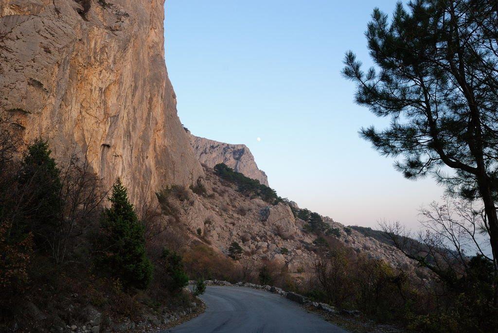 Олива з panoramio.com - Олива