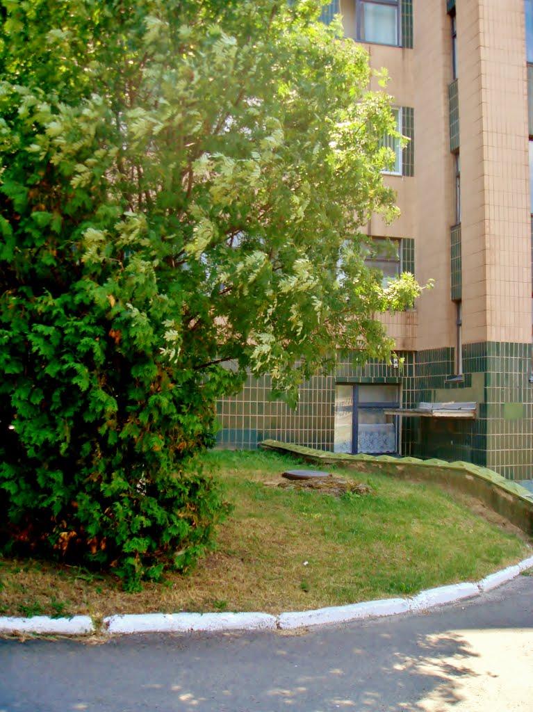 Неморож з panoramio.com - Неморож