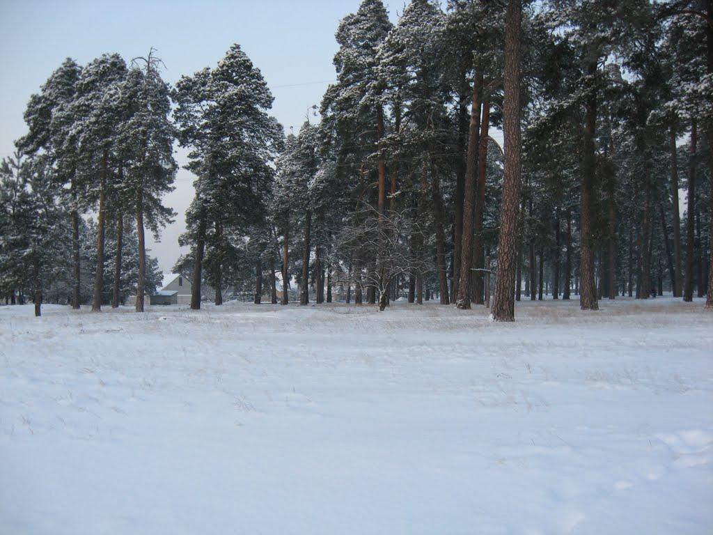 Маневичі з panoramio.com - Маневичи